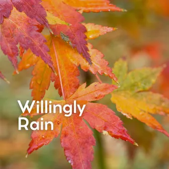 Willingly Rain by Unknown Artist