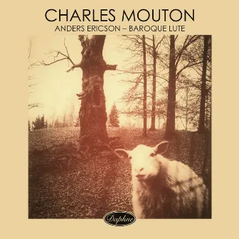 Charles Mouton - Baroque Lute by Charles Mouton