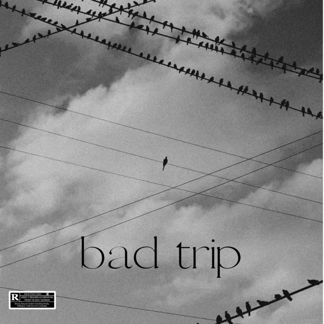 bad trip