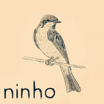 Ninho by Silvia Sant'Anna