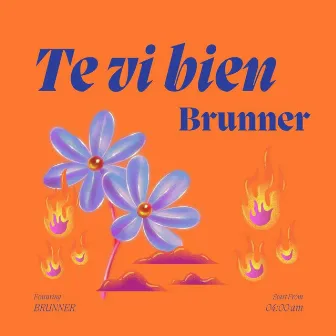 Te Vi Bien by Brunner