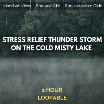 Stress Relief Thunder Storm on the Cold Misty Lake by Rain Soundzzz Club