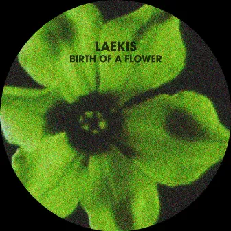 Birth Of A Flower by Laekis