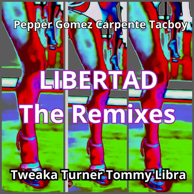 Libertad - Tweaka Turner Dub Mix VP