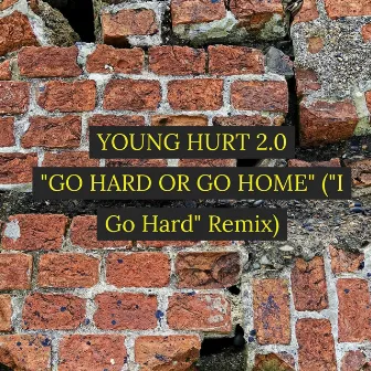 Go Hard or Go Home (I Go Hard Remix) by Young Hurt 2.0