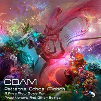 Patterns. Echos. Motion: A Free Flow Guide For Practitioners And Other Beings by COAM