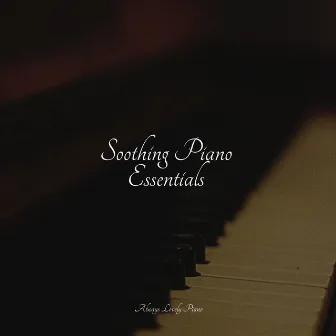 Soothing Piano Essentials by Peaceful Piano Chillout