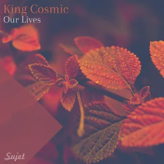 Our Lives by King Cosmic