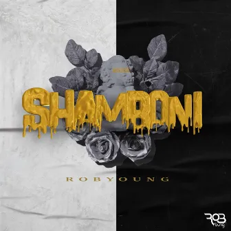 Shamboni by RobYoung