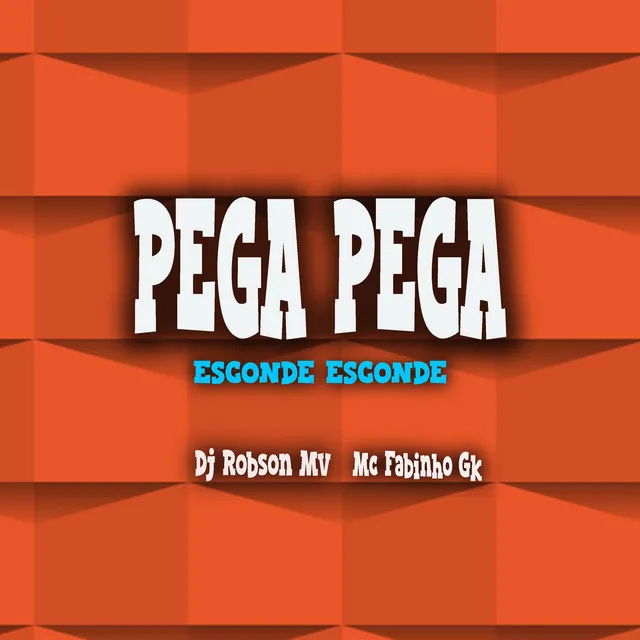 Pega Pega Esconde Esconde