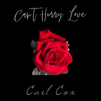 Can't Hurry Love by Carl Cox