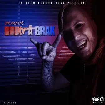 Brik à brak by Brakeur