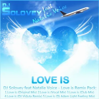 Love Is by Natalie Voice