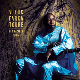 Les Racines by Vieux Farka Touré