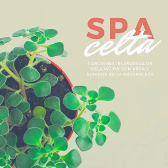 Spa Celta: Canciones Irlandesas de Relajación con Arpa y Sonidos de la Naturaleza by Unknown Artist