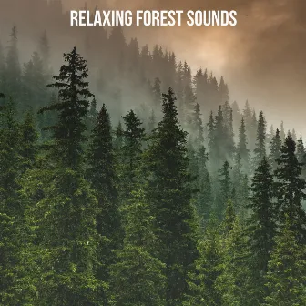 Relaxing Forest Sounds by Nature Chillout