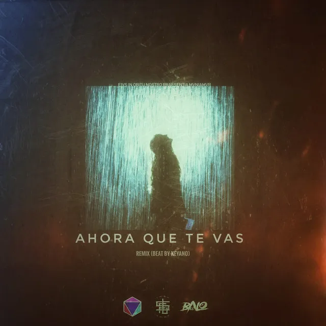 Ahora que te vas (Remix)