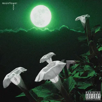 Moonflower (extended) by Wavy