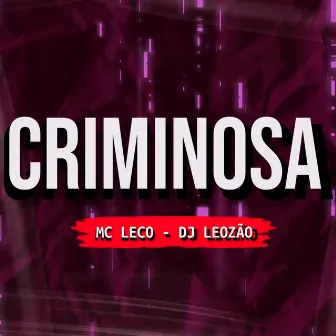 Criminosa by Dj Leozão