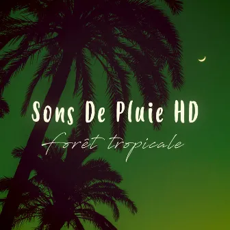 Forêt Tropicale by Sons De Pluie HD