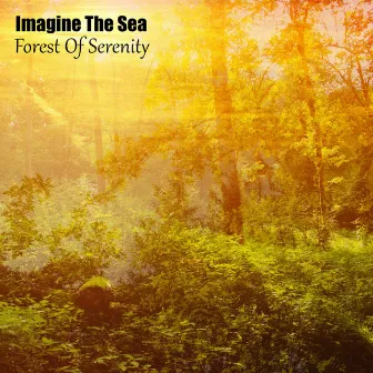 Forest Of Serenity by Imagine The Sea