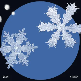 Snowflake by VINXEN