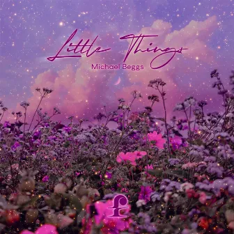 Little Things by Michael Beggs