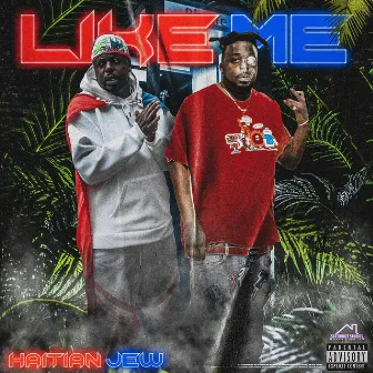 Like Me by Haitian Jew