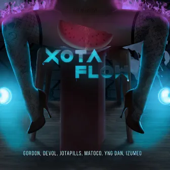 Xota Flow by Hitmachine