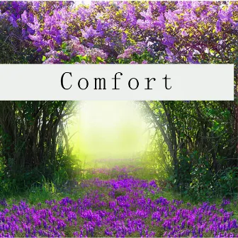 Comfort by Sarah Nelson