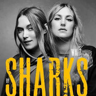 Wait by Sharks