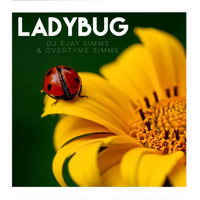 Ladybug