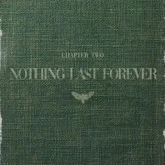 Nothing Last Forever by Davin McCoy