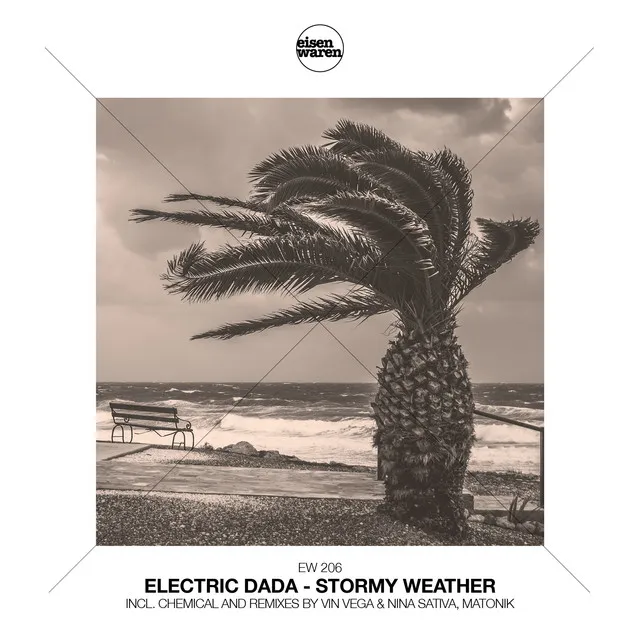 Stormy Weather - Vin Vega & Nina Sativa Radio Remix