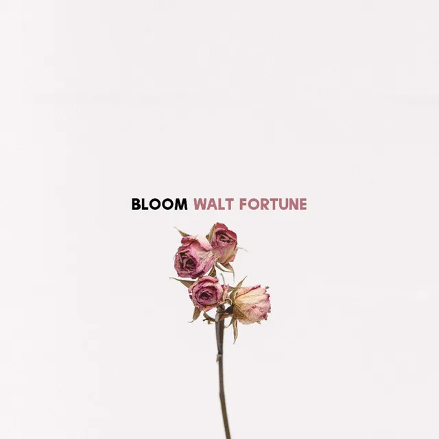 Bloom