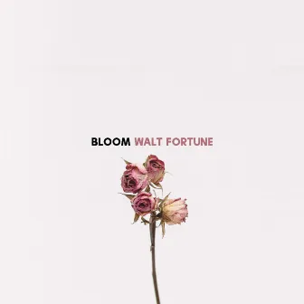 Bloom by Unknown Artist