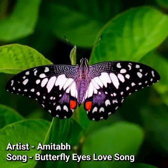 Butterfly Eyes Love Song by Unknown Artist