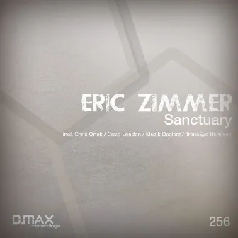 Sanctuary by Eric Zimmer