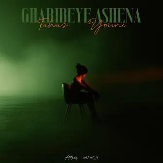 Gharibeye Ashena by 