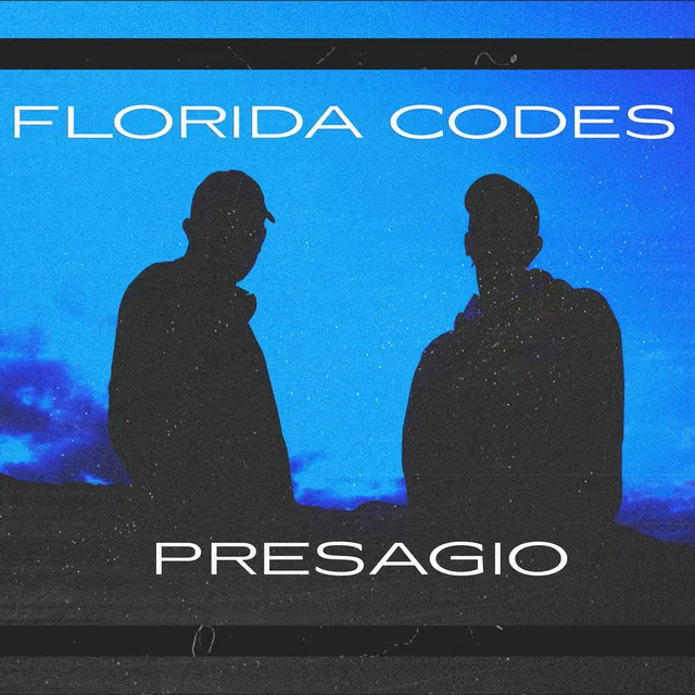 Florida Codes