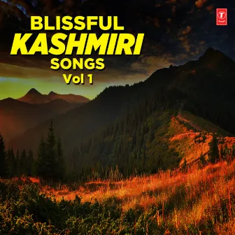 Blissful Kashmiri Songs Vol-1 by Shazia Basheer