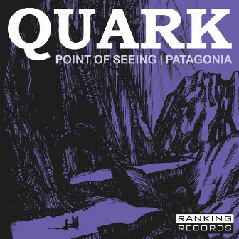 Point of Seeing by Quark