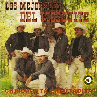 Chaparrita Enlutadita by Los Mejorales Del Mezquite