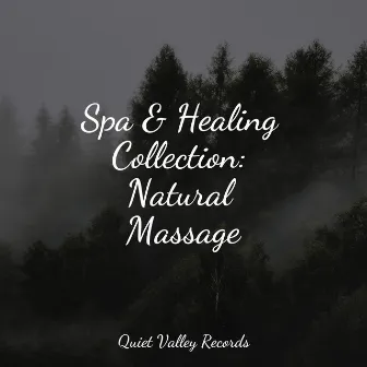 Spa & Healing Collection: Natural Massage by Calm Down