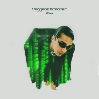 Veggene Brenner by MAS