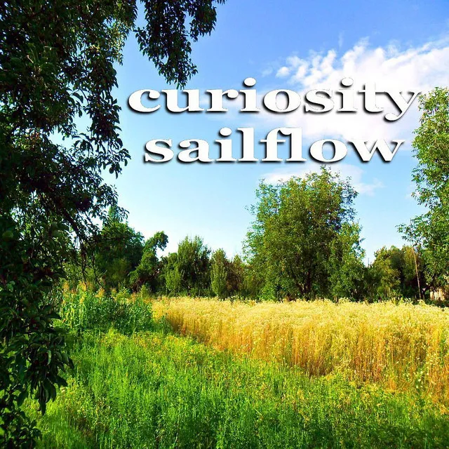 Curiosity Sailflow - DJ Scaldia Inspiring House Mix