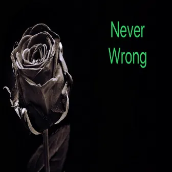 Never Wrong by Jay D Ripper