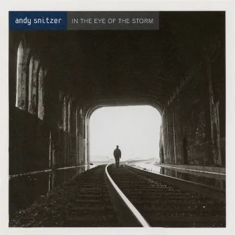 In the Eye of the Storm by Andy Snitzer