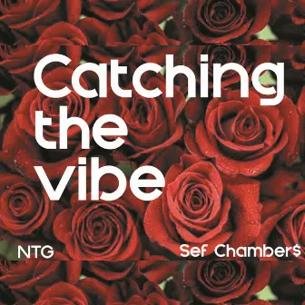 Catching the Vibe by Ntg