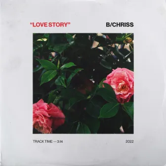 Love Story by B/Chriss